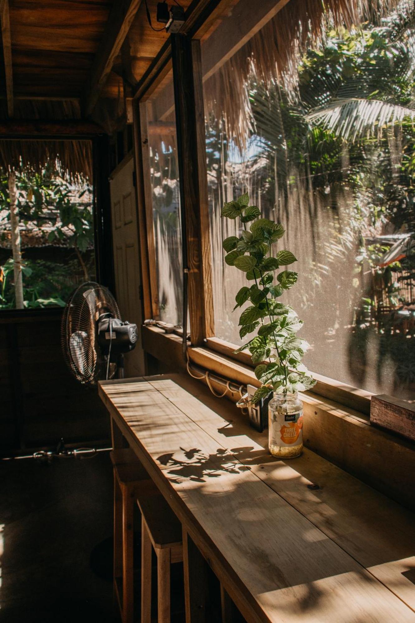 Casa Austera Villa El Paredón Buena Vista Eksteriør bilde