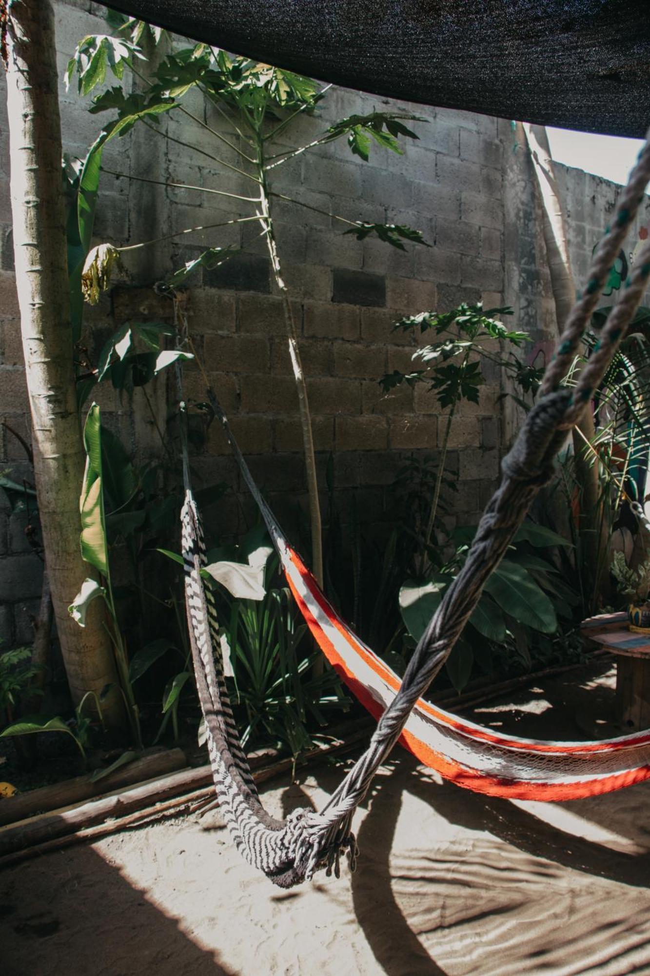 Casa Austera Villa El Paredón Buena Vista Eksteriør bilde
