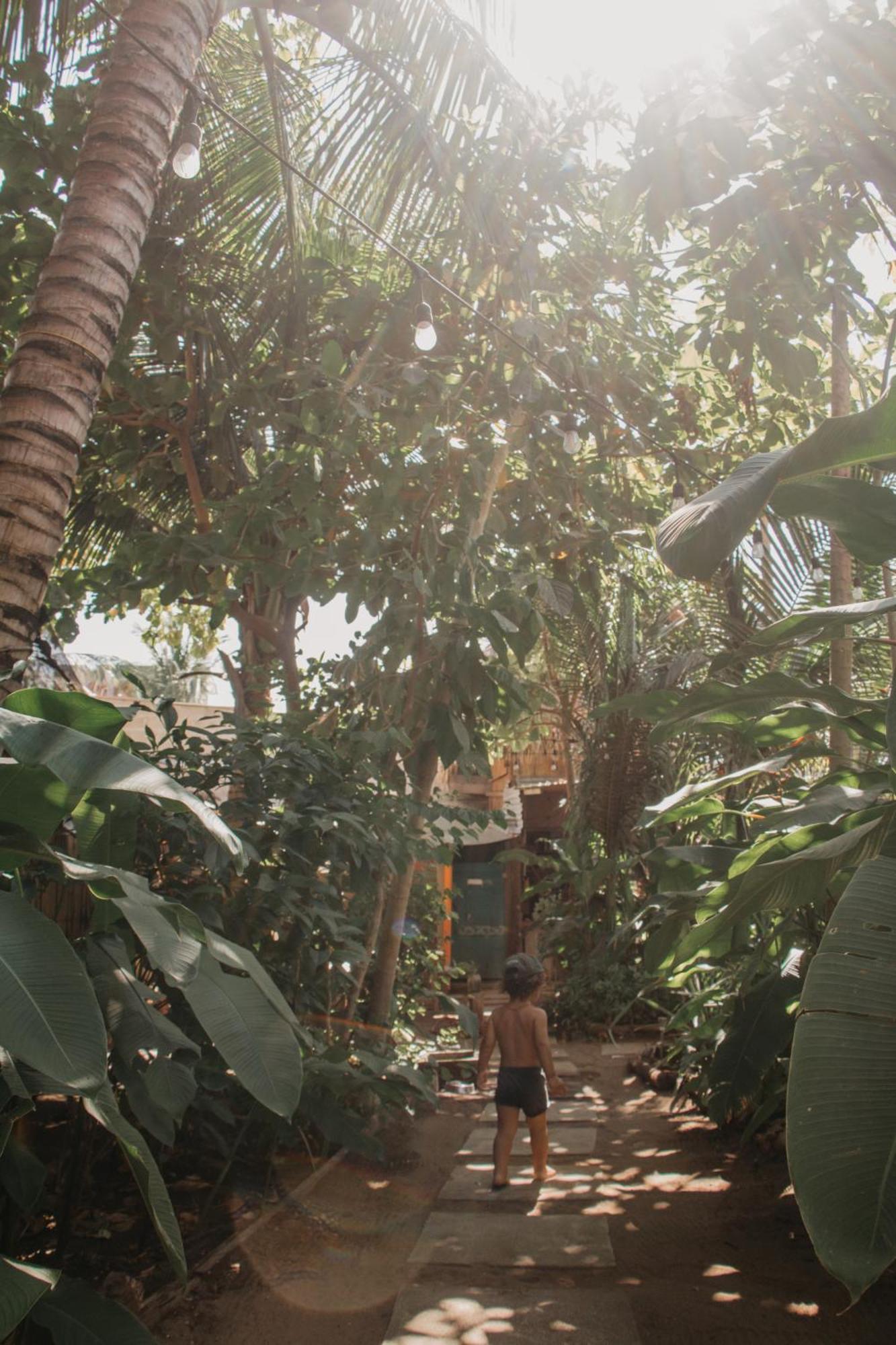Casa Austera Villa El Paredón Buena Vista Eksteriør bilde